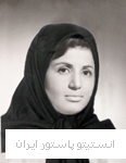 بیگلو